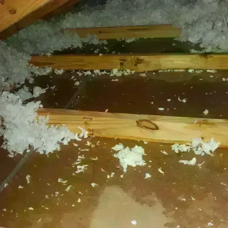 Attic Water Damage in Tuolumne County, CA